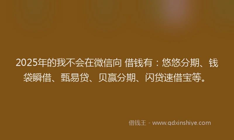2025年的我不会在微信向 借钱有：悠悠分期、钱袋瞬借、甄易贷、贝赢分期、闪贷速借宝等。