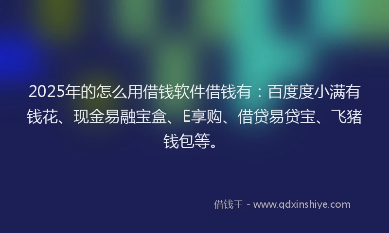 2025年的怎么用借钱软件借钱有：百度度小满有钱花、现金易融宝盒、E享购、借贷易贷宝、飞猪钱包等。