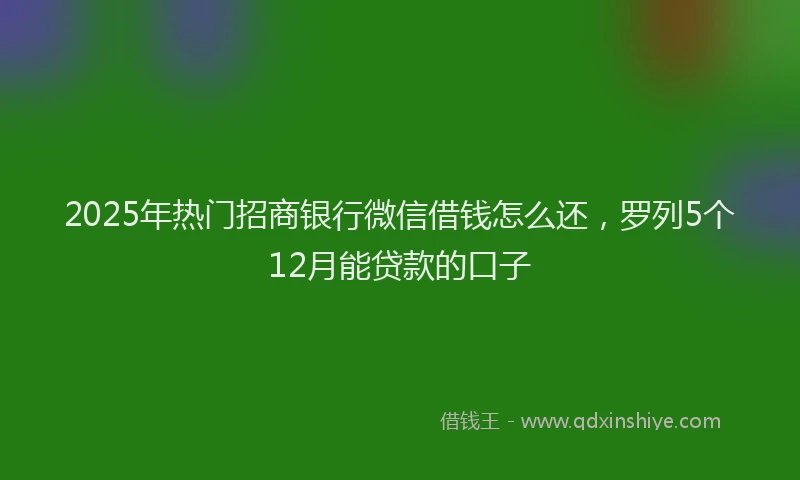2025年热门招商银行微信借钱怎么还，罗列5个12月能贷款的口子