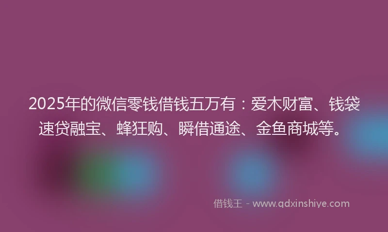 2025年的微信零钱借钱五万有：爱木财富、钱袋速贷融宝、蜂狂购、瞬借通途、金鱼商城等。