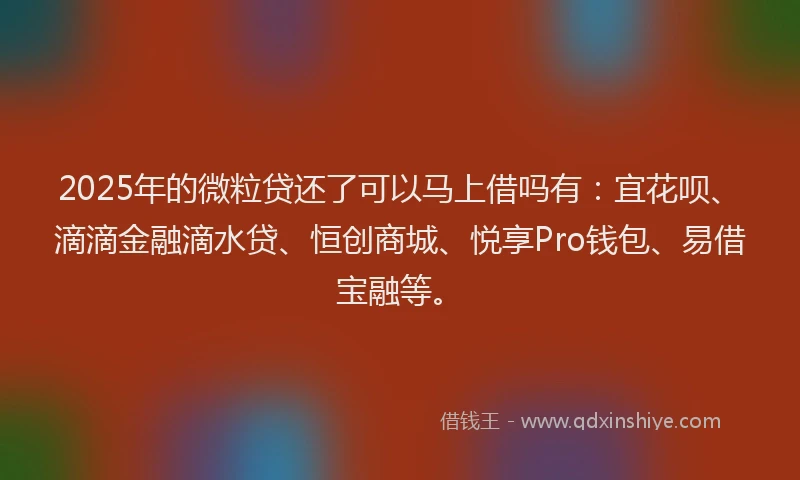 2025年的微粒贷还了可以马上借吗有：宜花呗、滴滴金融滴水贷、恒创商城、悦享Pro钱包、易借宝融等。