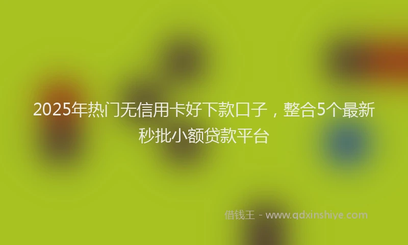 2025年热门无信用卡好下款口子，整合5个最新秒批小额贷款平台