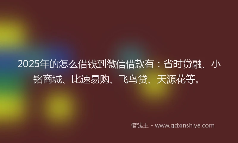 2025年的怎么借钱到微信借款有：省时贷融、小铭商城、比速易购、飞鸟贷、天源花等。
