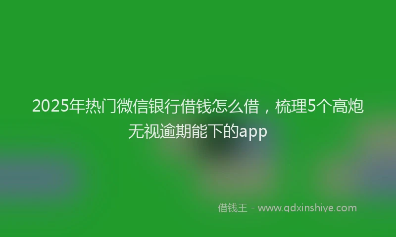 2025年热门微信银行借钱怎么借，梳理5个高炮无视逾期能下的app