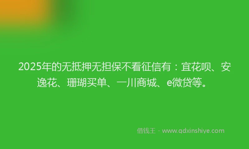 2025年的无抵押无担保不看征信有：宜花呗、安逸花、珊瑚买单、一川商城、e微贷等。