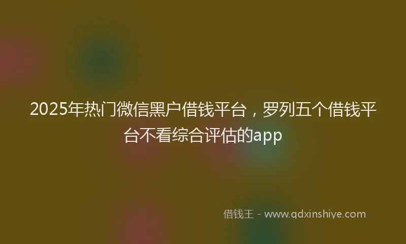2025年热门微信黑户借钱平台，罗列五个借钱平台不看综合评估的app