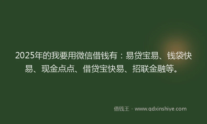 2025年的我要用微信借钱有：易贷宝易、钱袋快易、现金点点、借贷宝快易、招联金融等。