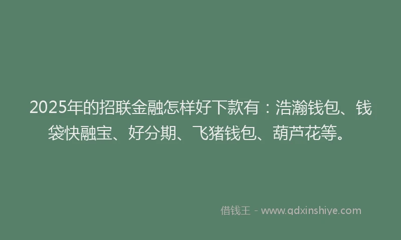 2025年的招联金融怎样好下款有：浩瀚钱包、钱袋快融宝、好分期、飞猪钱包、葫芦花等。