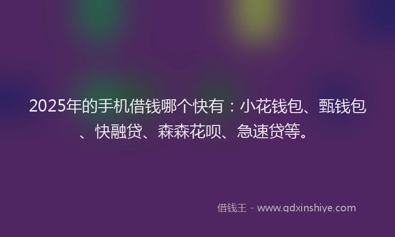2025年的手机借钱哪个快有：小花钱包、甄钱包、快融贷、森森花呗、急速贷等。