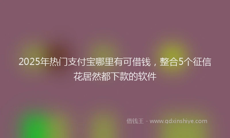 2025年热门支付宝哪里有可借钱，整合5个征信花居然都下款的软件