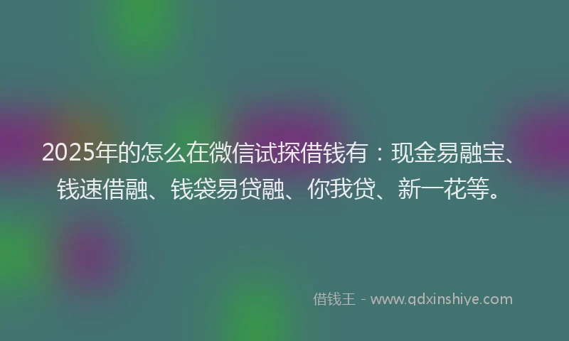 2025年的怎么在微信试探借钱有：现金易融宝、钱速借融、钱袋易贷融、你我贷、新一花等。