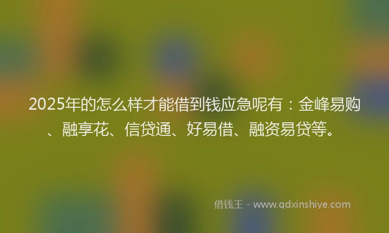 2025年的怎么样才能借到钱应急呢有：金峰易购、融享花、信贷通、好易借、融资易贷等。