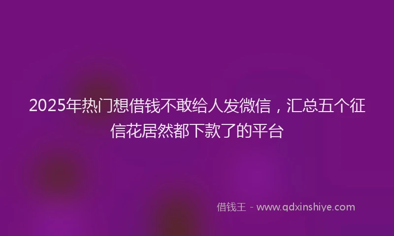 2025年热门想借钱不敢给人发微信，汇总五个征信花居然都下款了的平台
