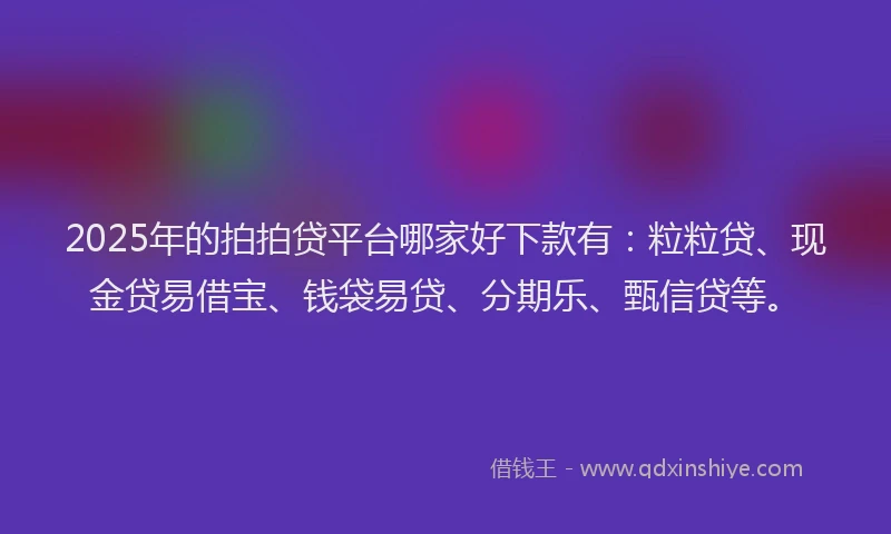2025年的拍拍贷平台哪家好下款有：粒粒贷、现金贷易借宝、钱袋易贷、分期乐、甄信贷等。