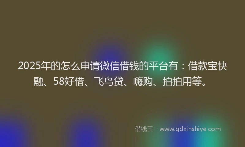 2025年的怎么申请微信借钱的平台有：借款宝快融、58好借、飞鸟贷、嗨购、拍拍用等。