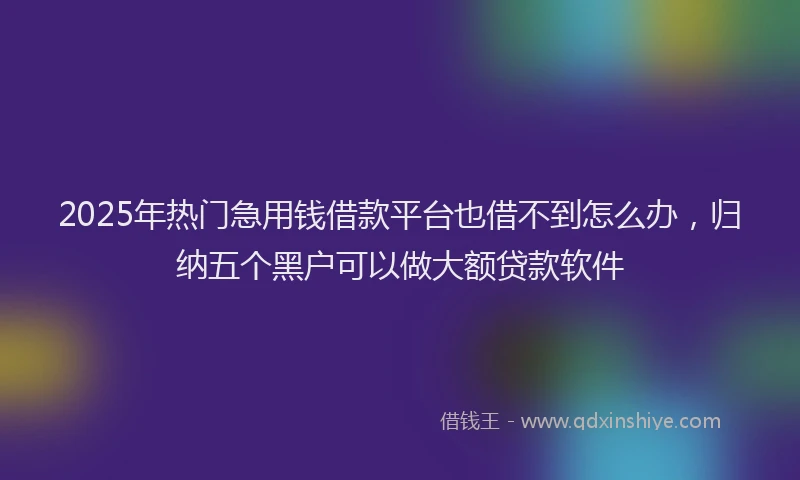 2025年热门急用钱借款平台也借不到怎么办，归纳五个黑户可以做大额贷款软件