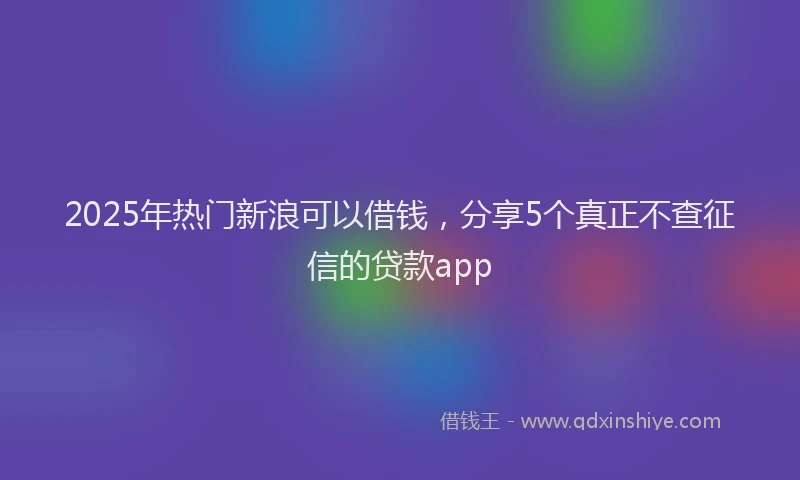 2025年热门新浪可以借钱，分享5个真正不查征信的贷款app