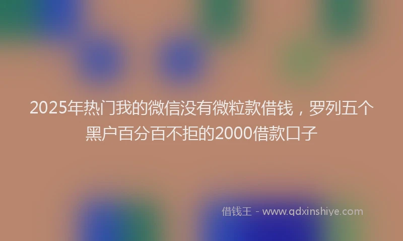 2025年热门我的微信没有微粒款借钱，罗列五个黑户百分百不拒的2000借款口子