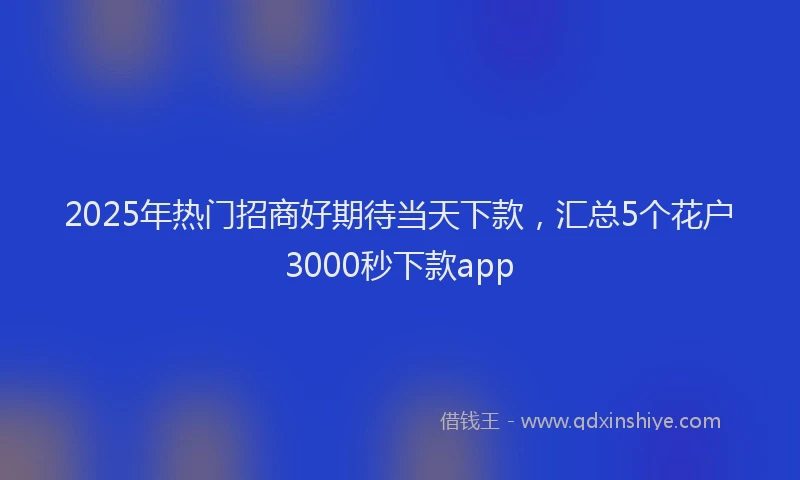 2025年热门招商好期待当天下款，汇总5个花户3000秒下款app