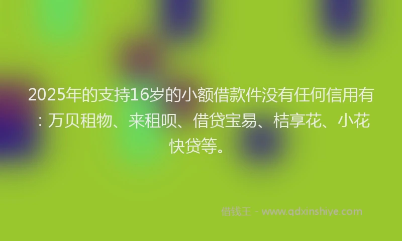 2025年的支持16岁的小额借款件没有任何信用有：万贝租物、来租呗、借贷宝易、桔享花、小花快贷等。