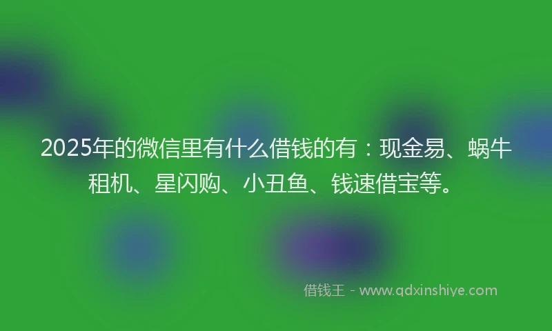 2025年的微信里有什么借钱的有：现金易、蜗牛租机、星闪购、小丑鱼、钱速借宝等。