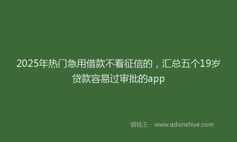 2025年热门急用借款不看征信的，汇总五个19岁贷款容易过审批的app
