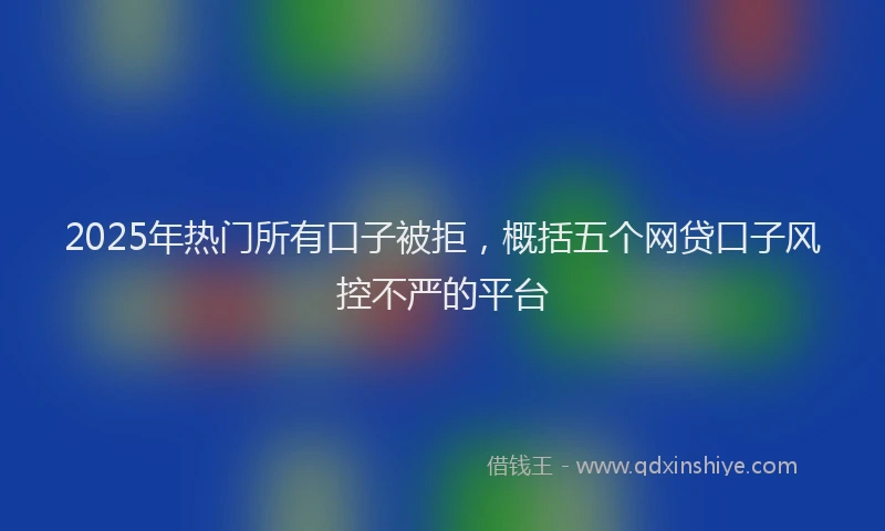 2025年热门所有口子被拒，概括五个网贷口子风控不严的平台