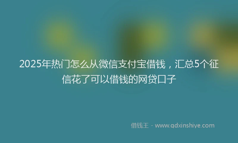 2025年热门怎么从微信支付宝借钱，汇总5个征信花了可以借钱的网贷口子