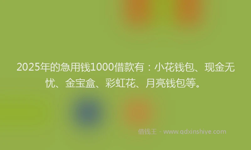 2025年的急用钱1000借款有：小花钱包、现金无忧、金宝盒、彩虹花、月亮钱包等。