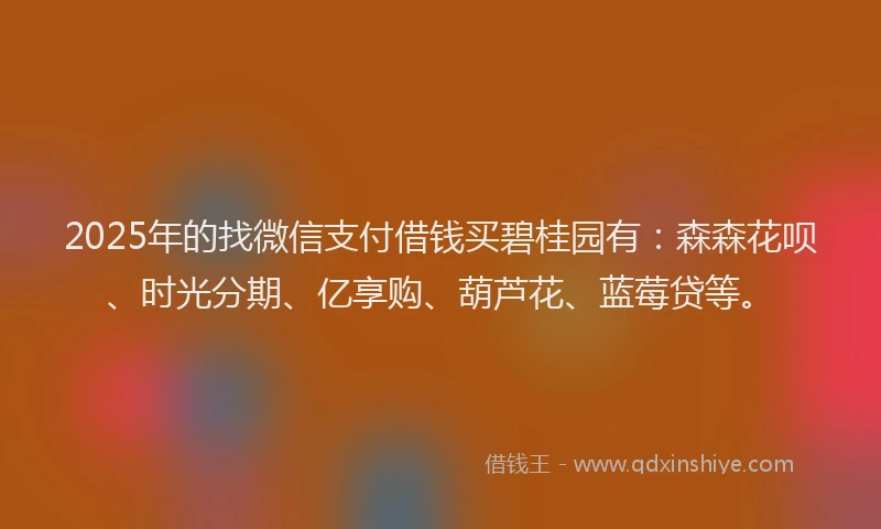 2025年的找微信支付借钱买碧桂园有：森森花呗、时光分期、亿享购、葫芦花、蓝莓贷等。