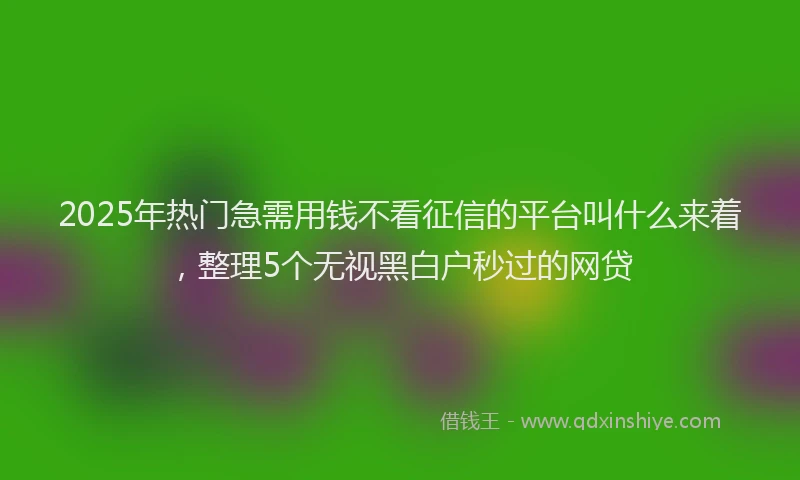 2025年热门急需用钱不看征信的平台叫什么来着，整理5个无视黑白户秒过的网贷
