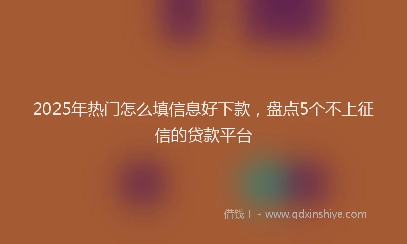 2025年热门怎么填信息好下款，盘点5个不上征信的贷款平台