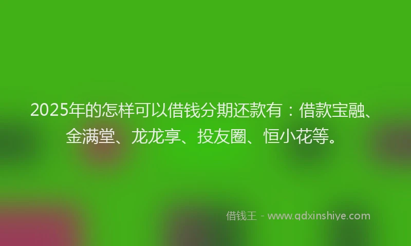 2025年的怎样可以借钱分期还款有：借款宝融、金满堂、龙龙享、投友圈、恒小花等。