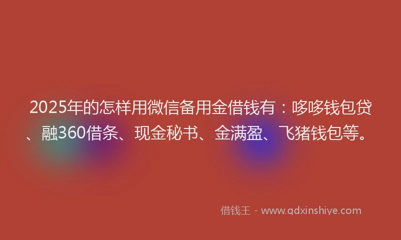 2025年的怎样用微信备用金借钱有：哆哆钱包贷、融360借条、现金秘书、金满盈、飞猪钱包等。