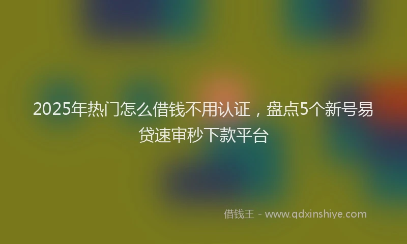2025年热门怎么借钱不用认证，盘点5个新号易贷速审秒下款平台