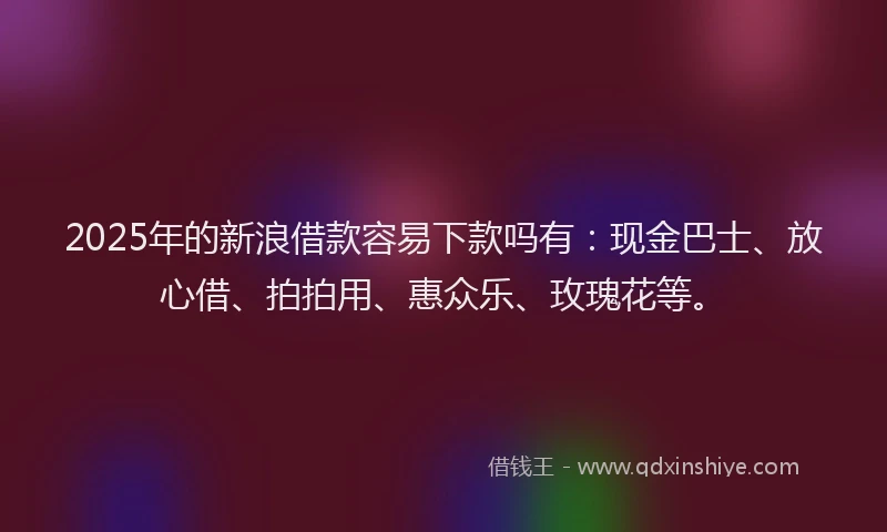 2025年的新浪借款容易下款吗有：现金巴士、放心借、拍拍用、惠众乐、玫瑰花等。