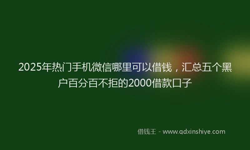 2025年热门手机微信哪里可以借钱，汇总五个黑户百分百不拒的2000借款口子