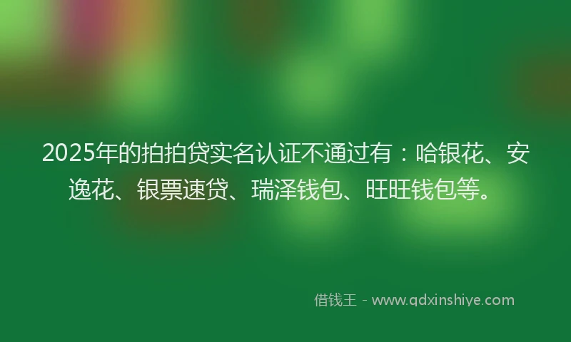 2025年的拍拍贷实名认证不通过有：哈银花、安逸花、银票速贷、瑞泽钱包、旺旺钱包等。