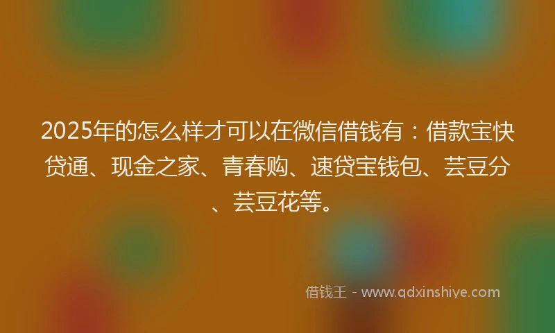 2025年的怎么样才可以在微信借钱有：借款宝快贷通、现金之家、青春购、速贷宝钱包、芸豆分、芸豆花等。