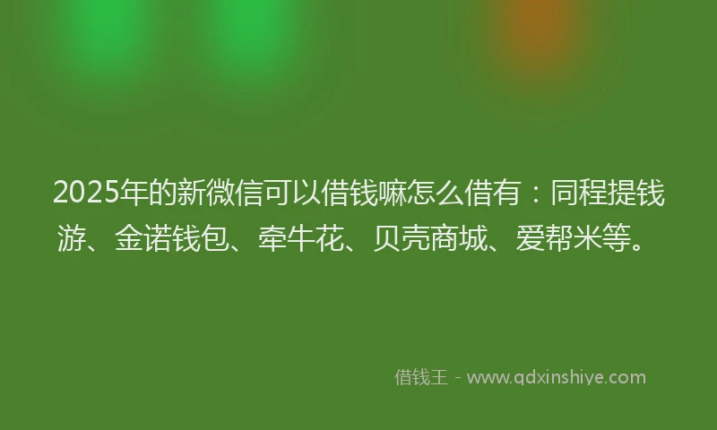 2025年的新微信可以借钱嘛怎么借有：同程提钱游、金诺钱包、牵牛花、贝壳商城、爱帮米等。