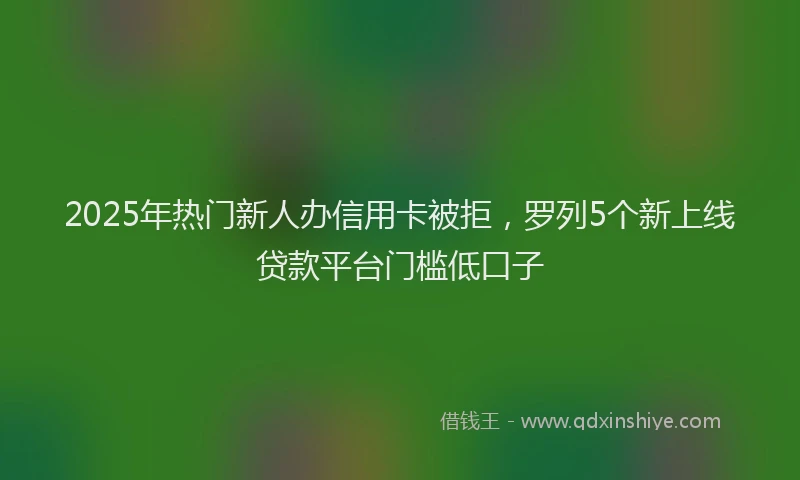 2025年热门新人办信用卡被拒，罗列5个新上线贷款平台门槛低口子