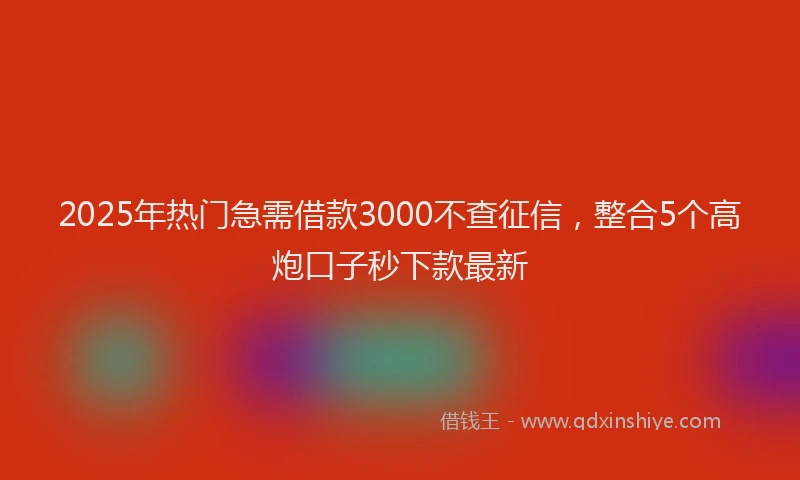 2025年热门急需借款3000不查征信，整合5个高炮口子秒下款最新