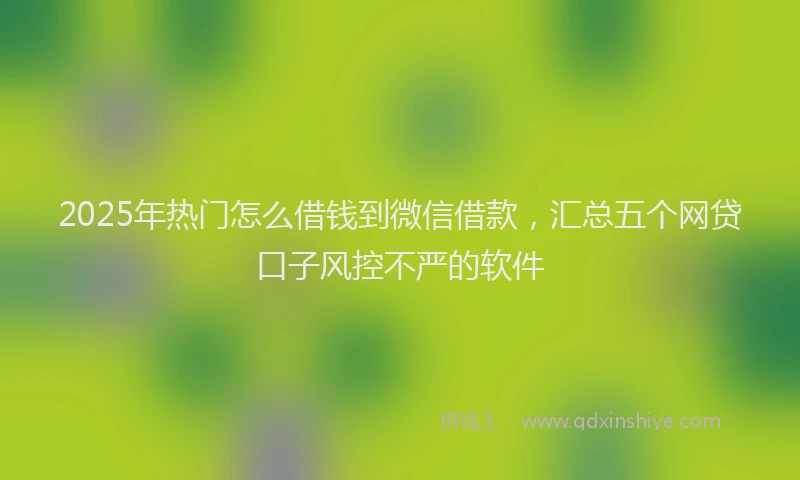 2025年热门怎么借钱到微信借款，汇总五个网贷口子风控不严的软件