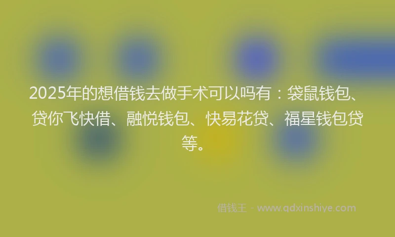 2025年的想借钱去做手术可以吗有：袋鼠钱包、贷你飞快借、融悦钱包、快易花贷、福星钱包贷等。
