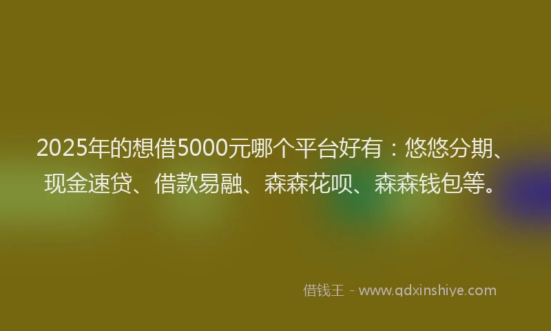 2025年的想借5000元哪个平台好有：悠悠分期、现金速贷、借款易融、森森花呗、森森钱包等。