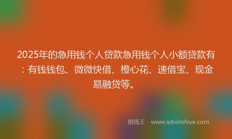 2025年的急用钱个人贷款急用钱个人小额贷款有：有钱钱包、微微快借、橙心花、速借宝、现金易融贷等。