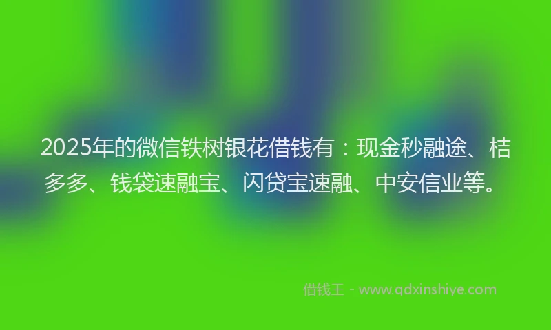 2025年的微信铁树银花借钱有：现金秒融途、桔多多、钱袋速融宝、闪贷宝速融、中安信业等。