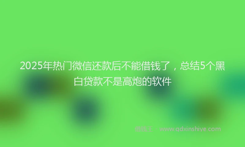 2025年热门微信还款后不能借钱了，总结5个黑白贷款不是高炮的软件