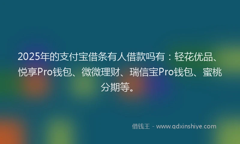 2025年的支付宝借条有人借款吗有：轻花优品、悦享Pro钱包、微微理财、瑞信宝Pro钱包、蜜桃分期等。