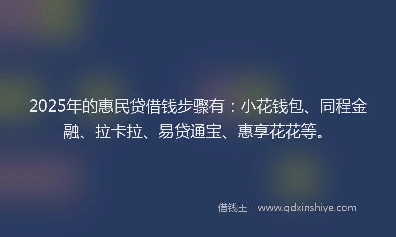 2025年的惠民贷借钱步骤有：小花钱包、同程金融、拉卡拉、易贷通宝、惠享花花等。